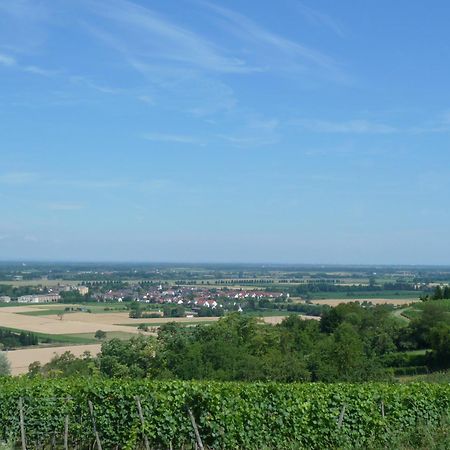 Schwarzwaldturmzimmer Lahr Lahr  Exterior foto